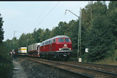 DB 216 156 (22.09.1985, Parade in Nürnberg)