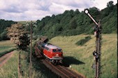 DB 216 221 (22.05.1998, Niederzenzheim)