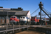 DB 218   (27.03.1989, Bw Nürnberg Hbf., 218 203, 210 und 004)