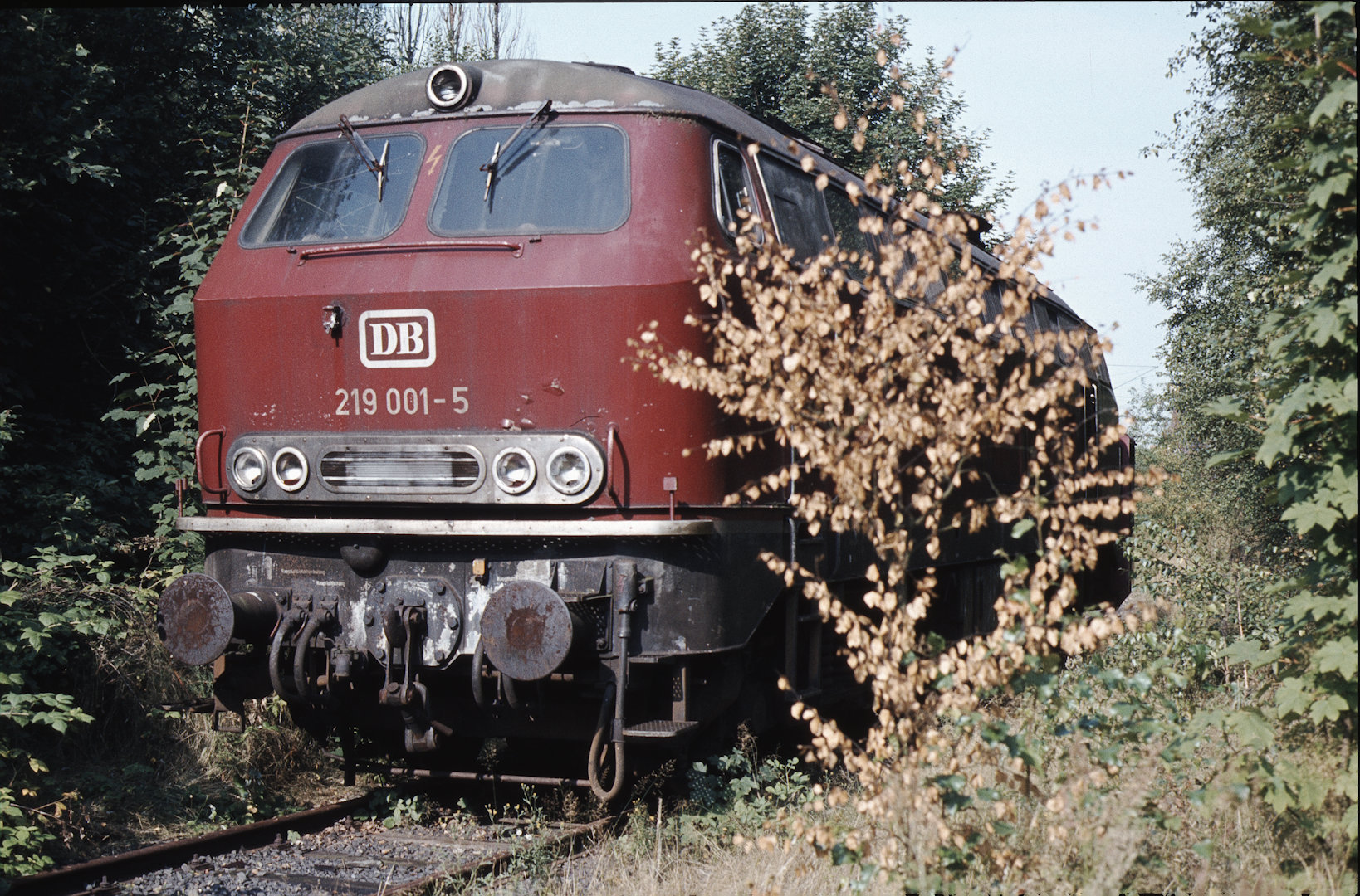 Deutsche Bahn Baureihe 219 V169