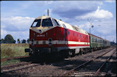 DB 219 198 (28.08.1993, Wustermark)