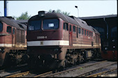 DB 220 098 (10.05.1993, Leipzig-Wahren)