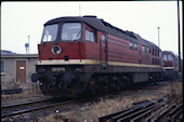 DB 230 037 (10.03.1991, Seddin, (als DR 130))