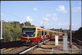 DB 481 272 (15.08.2003, Berlin-Lehmitz)