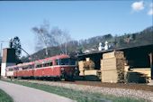 DB 796 828 (27.03.1994, Oppenau)