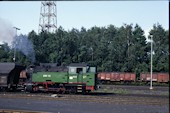 EBV Anna  12 (27.07.1991, Alsdorf)
