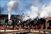 MB0055 Bw   (15.10.1994, Bw Staßfurt, (50 3682, 52 8184 und 8189, 41 1185))