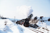 UEF  58 1111 (02.1993, b. Schalkau)