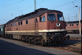 DR 132 304 (07.10.1991, Cottbus)