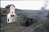 ALEMF 030  T1 (04.05.1990, b. Aboncourt, "Canner")