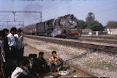 IR WG 9200 (06.11.1993, Delhi, mit Schlangenbeschwörer)