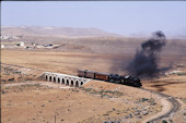 HR 4-6-2  82 (05.1991, b. Es Samra)