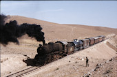 HR 4-6-2  82 (05.1983, b. Quatrana)