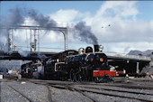 NZR Ab  699 (10.1988, Christchurch)