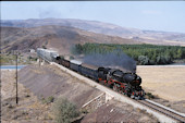 TCDD 56.5 513 (10.1992, b. Irmak)