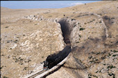 TCDD 56.5 513 (16.10.1991, Dinar)