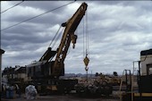 ARZC Crane   X1 (18.04.1995, Parker, AZ)