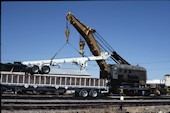 ARZC Crane   X1 (25.04.1995, Parker, AZ)