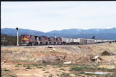 ATSF B40-8W  524:2 (13.04.1995, Rowe, NM)