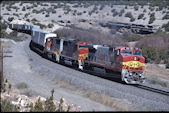 ATSF B40-8W  559:2 (12.04.1995, b. Abo, NM)