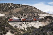 ATSF C40-8W  894 (19.05.1997, Cajon, CA)