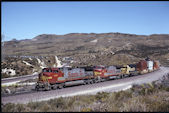 ATSF C44-9W  643 (14.06.1998, Cajon 57, CA)