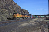 BNSF C40-8W  884 (15.07.2008, Dallesport, WA)