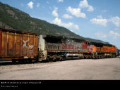 BNSF C41-8W  950 (20.07.2007, Paradise, MT)