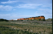 BNSF C44-9W 1051 (14.05.2004, Truxton, AZ)