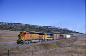 BNSF C44-9W 4316 (25.09.1999, Palmer Lake, CO)