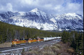 BNSF C44-9W 4607 (13.10.2001, Marias Pass, MT)