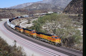 BNSF C44-9W 5239 (01.12.2008, Cajon Pass MP56, CA)