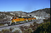 BNSF C44-9W 5300 (02.02.2002, Cajon 63, CA)