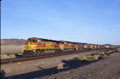 BNSF C44-9W 5444 (15.01.2011, Ash Hill, CA)