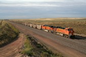 BNSF ES44AC 6038 (12.09.2013, b. Bill, WY)