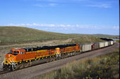 BNSF ES44AC 6175 (03.09.2008, Lakeside, NE)