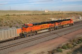 BNSF ES44AC 6359:2 (12.09.2013, b. Bill, WY)