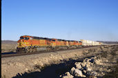 BNSF ES44DC 7670 (28.01.2011, Ash Hill, CA)