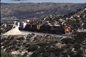 BNSF GP60M  123 (03.05.1997, Cajon Summit, CA)