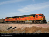 BNSF SD70MAC 8902 (15.09.2009, Gillette, WY)
