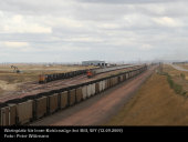 BNSF Yard   (12.09.2009, b. Bill, WY)