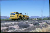 CBRY Tamper MK III (24.04.1995, b. Hayden, AZ)