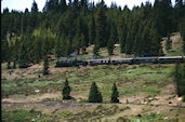 CTS 2-8-2 K-36  484 (31.05.1996, Tanglefoot Curve, CO)