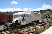 RGS GallGoose    4 (21.05.2011, Ridgway, CO)