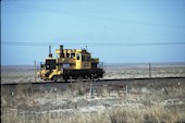 RMSX Grinder   (11.04.1995, b. Melrose, NM)