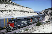 SP AC4400CW  184 (17.04.1998, Cajon 56, CA)