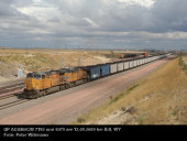 UP AC4400CW 7193 (12.09.2009, b. Bill, WY)