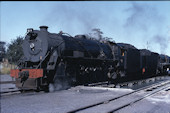SAR 15CA 2847 (11.03.1979, Cap. Park)