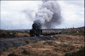 NRZ 2-6-2 2-6-2 509 (08.1991, Mbala-Bala)